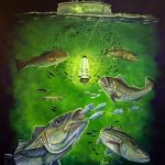 best underwater fishing lights