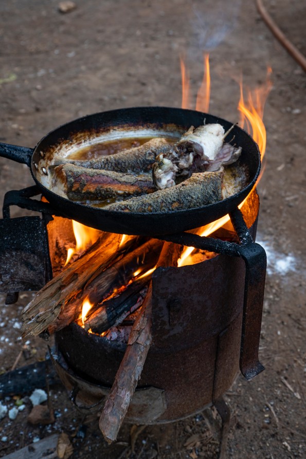 cooking fish while camping