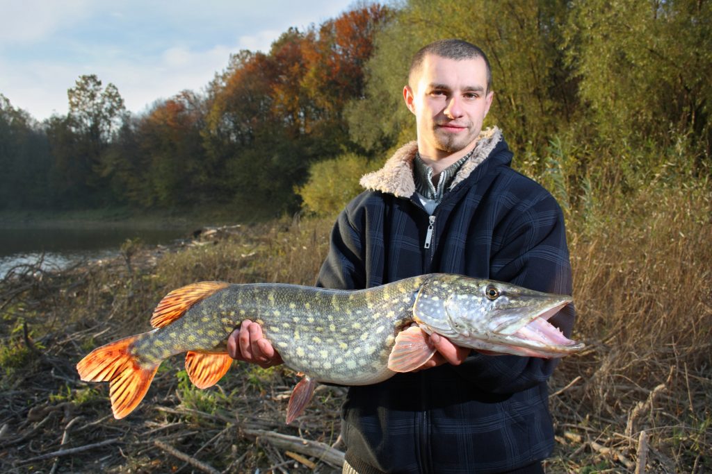 northern pike fishing