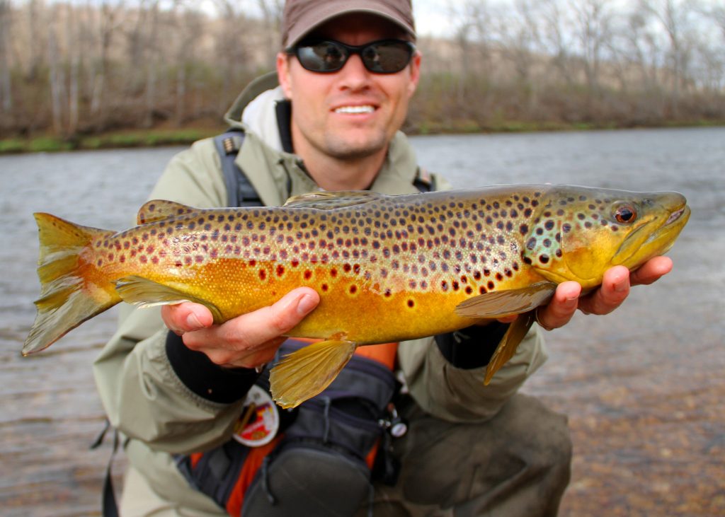 trout fishing soft hackle bait