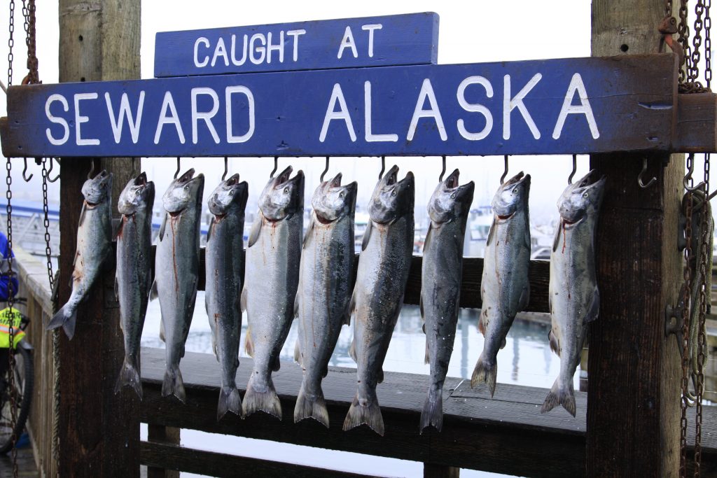 Alaskan Fishing Vacation Seward