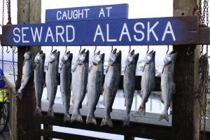 Alaskan Fishing Vacation Seward - best fishing spots in the USA