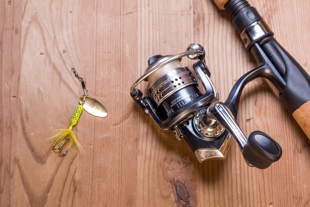 Fish Reel - Baitcaster Reels - The Reel Deals and Best Reel Brands