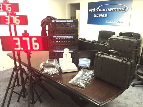 Tournament Weigh in Scale