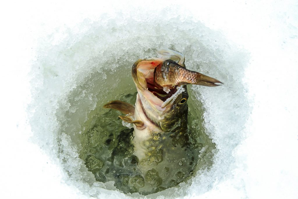 Ice Advice: Staying Warm During the Coldest Fishing Season