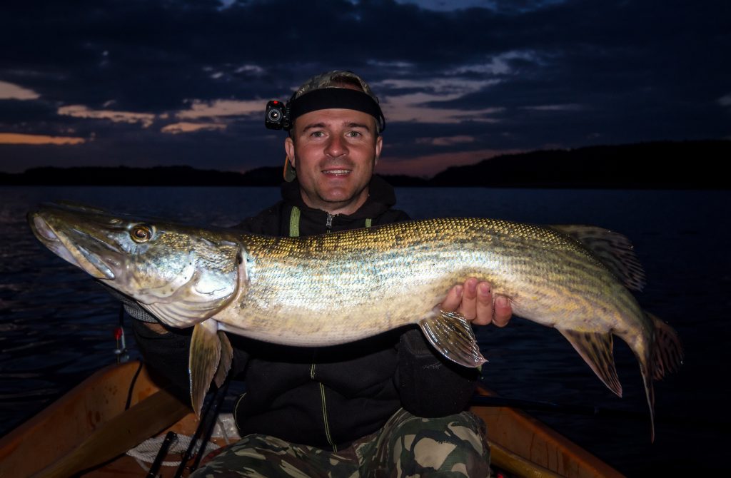 full moon fishing phase night pike