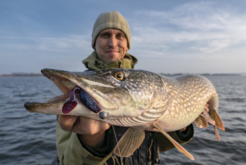 Winter fishing tackle for pike fishing close up, Ivan Volchek