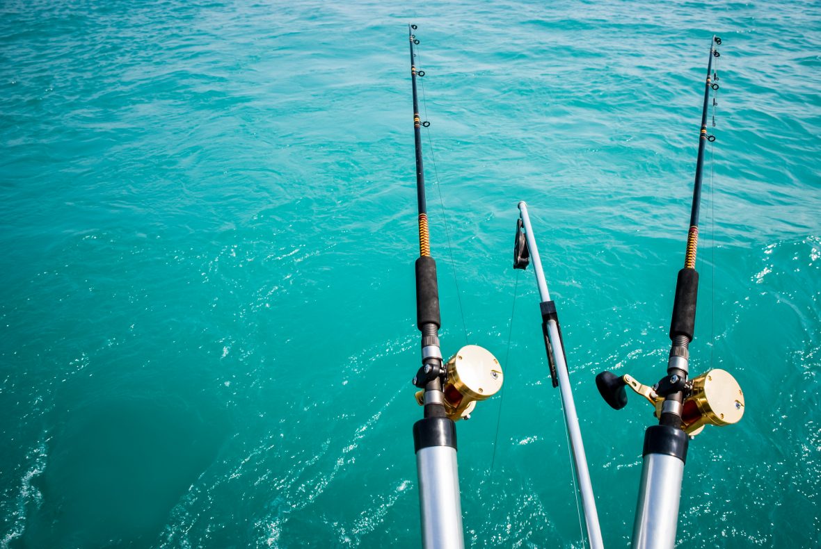 rods for fishing poles