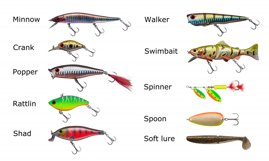 Live Bait Versus Artificial Lures