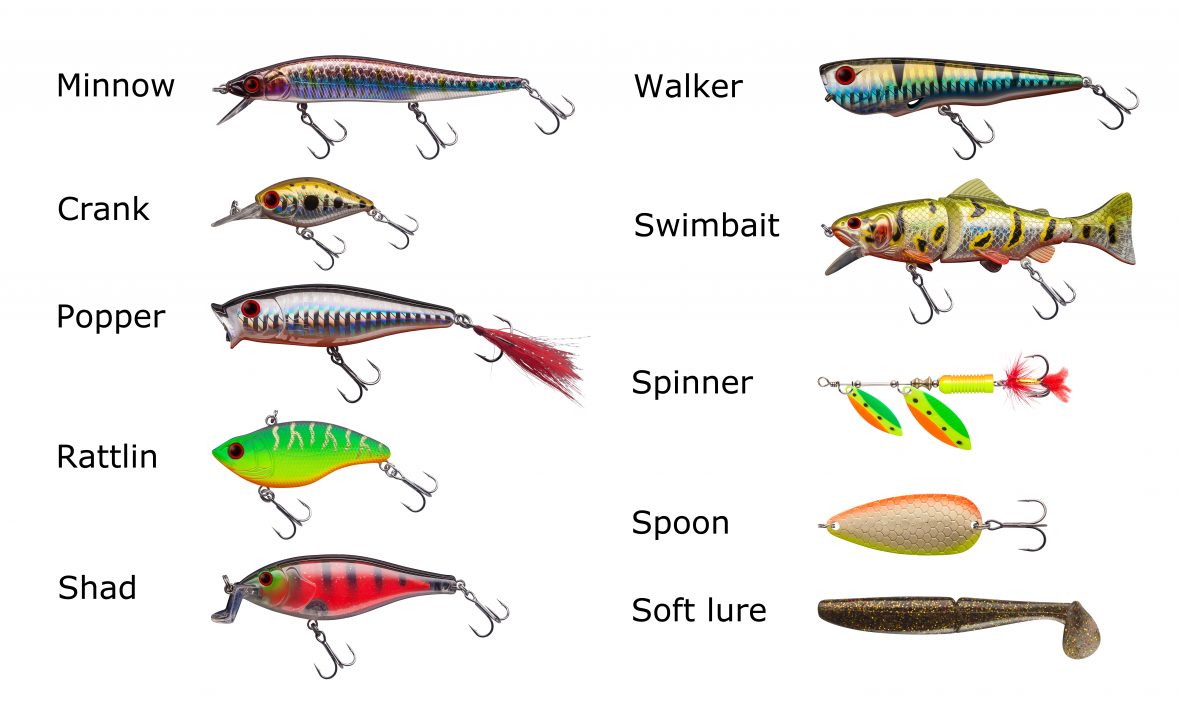 swim baits by type best lures