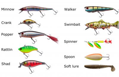 swim baits by type best lures