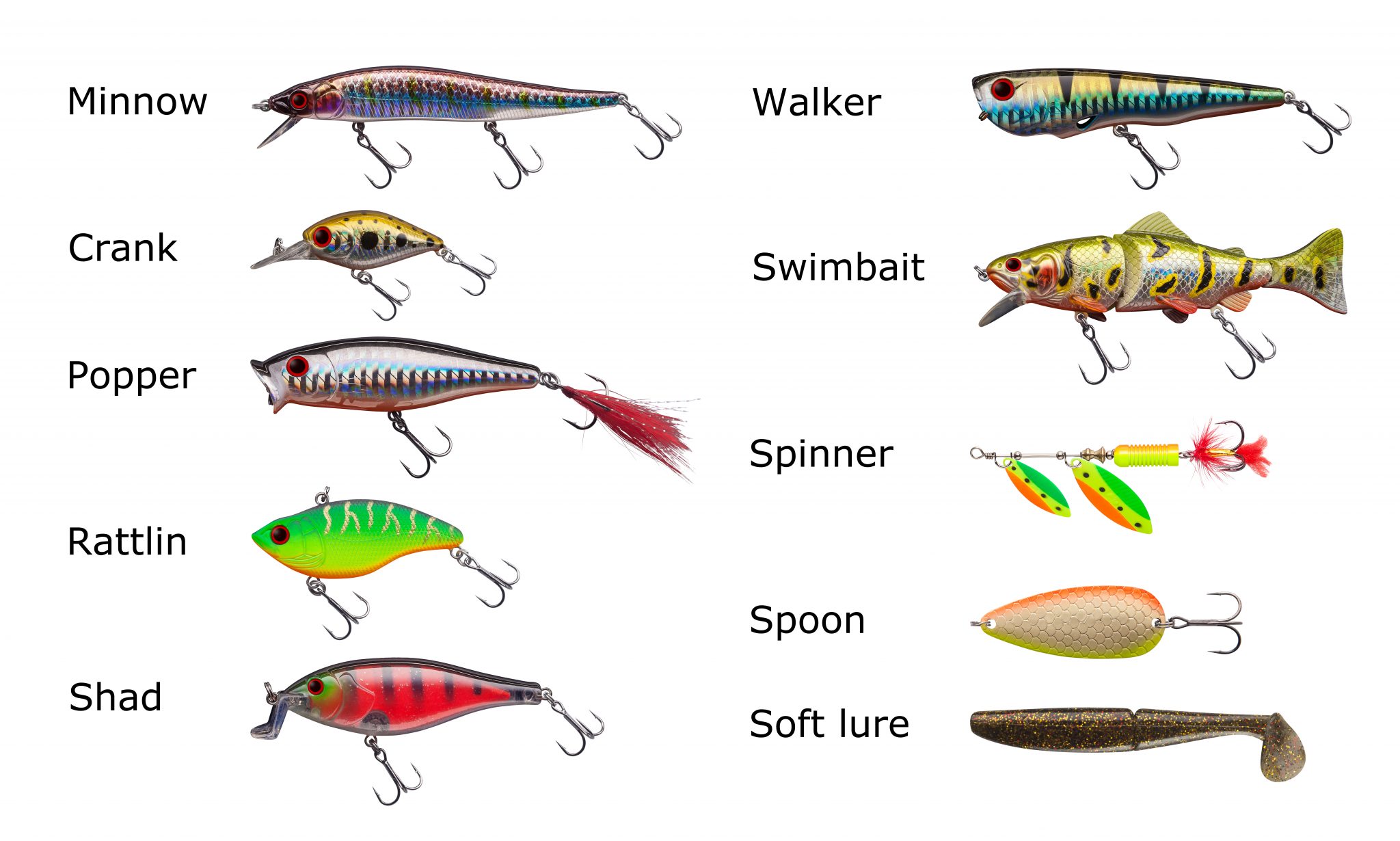 Paddle Tail Swimbaits For Bass And Other Species