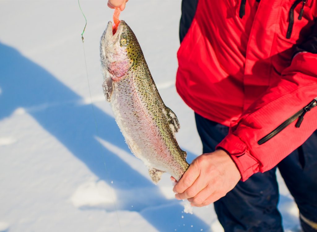 trout ice fishing