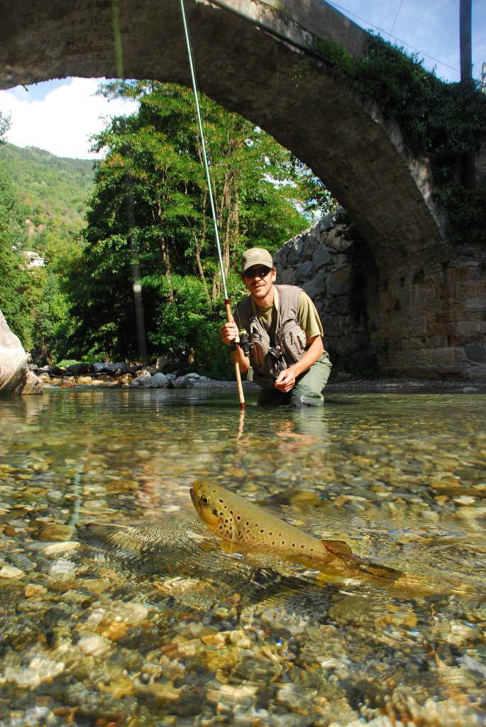 tipos de peixes para capturar a pesca da mosca