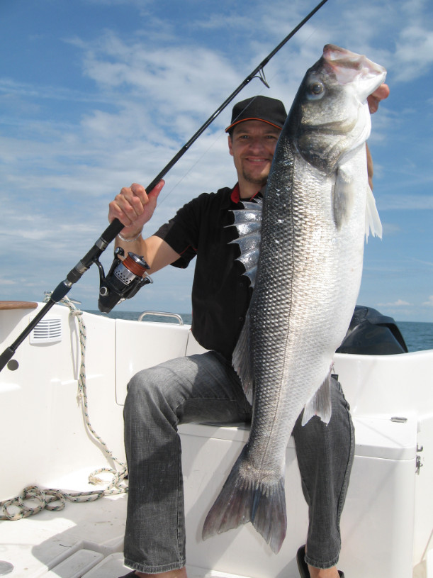 white bass fishing